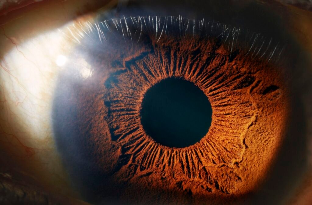 The amazing powers of the human eye